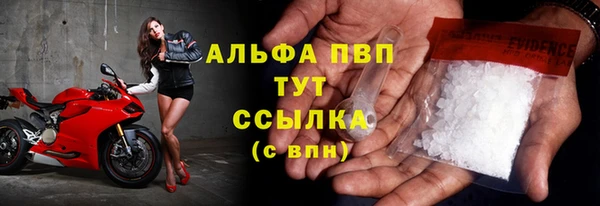ПСИЛОЦИБИНОВЫЕ ГРИБЫ Кулебаки