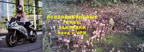 бошки Абдулино